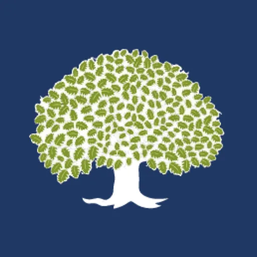 whiteoak_zorrofinancials