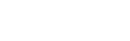 Zorro Financials MF Logo