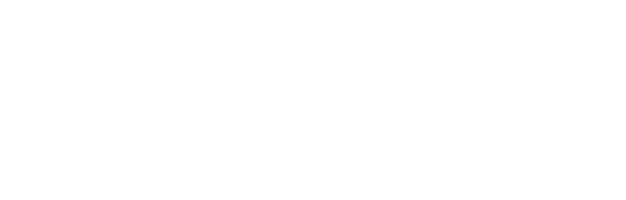 Zorro Financials MF Logo